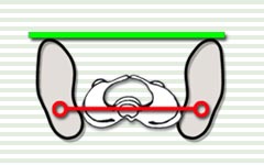 
 straight stance with correct hip placement